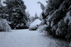 Snow falls in winter at Lothlorien Cottage in Hogsback, South Africa